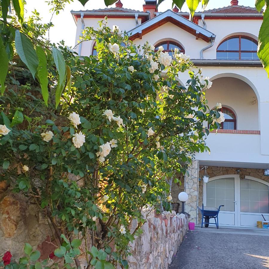 Knez Apartmani Senje المظهر الخارجي الصورة