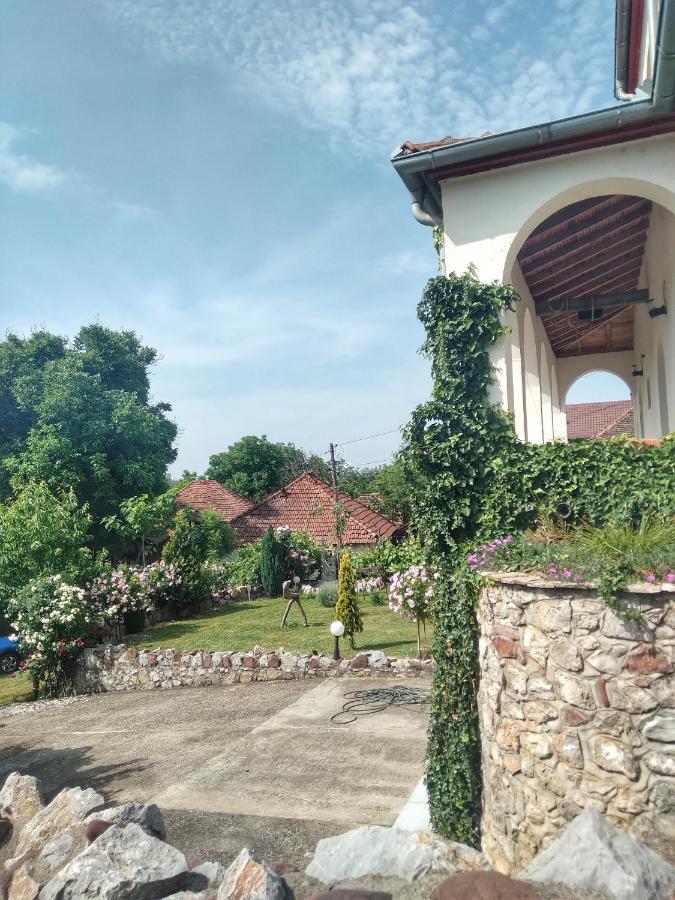 Knez Apartmani Senje المظهر الخارجي الصورة